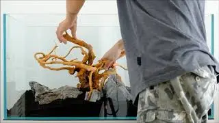 Lowtech Spiderwood Aquascape - Day 1