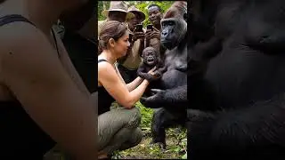 Monkey Children: A Glimpse into Animal Behavior