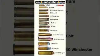 Widely Used Revolver Cartridges You Must Know! #shorts​  #vikasgkshort
