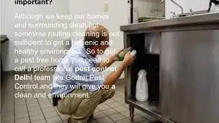 How Pest Control Noida can be Helpful for your Home