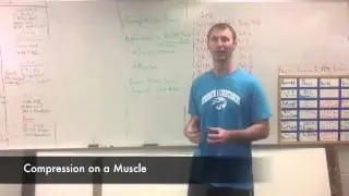 Compression Bands part 1