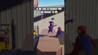 Je me fais attaquer par un oiseau 🐦😂 #dr&ocirc;le #humour #gangbeasts