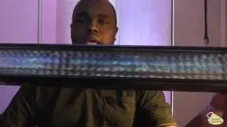 ADJ Mega Bar RGBA Review by Brandon Steward's Productions