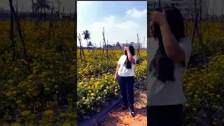 🌼✨ Marigold Love | When Flowers Become Your Way of Exploring Bengaluru #shorts #reels #reel #love