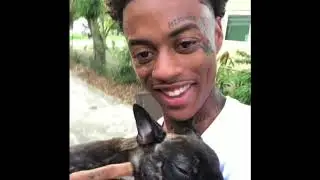 Best Boonk gang Compilation