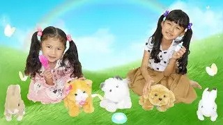 HIMAWARIペットショップ♡お気に入りのペットを見つけよう！himawari-CH