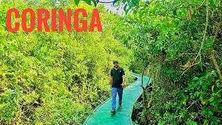 coringa Wildlife sanctuary Andhra Pradesh#coringa#andhrapradesh