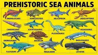 15 Prehistoric Sea Animals More Terrifying Than Megalodon | Ocean Monsters