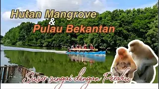 Hutan Mangrove & Pulau Bekantan ‼️ Mangrove Centre Balikpapan