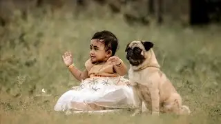 Children's Day | Baby Playing With Puppies | Pug | Beagle | Kid Photoshoot With Dogs @PetsNCrafts