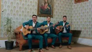 TRIO KOPAL/YA NO TE QUIERO PERO NO TE OLVIDO (PASILLO)