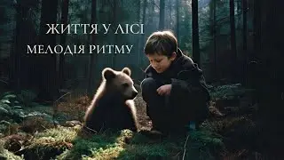 Wild Mountain Forest Life: Animals in Harmony | Pure Dark Ambient Music & Rain Sounds