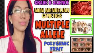 MULTIPLE ALLELE/POLYGENIC TRAIT/NON MENDELIAN GENETICS/GRADE 9 SCIENCE