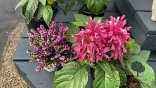 Escape the Cold: Warm Up in Our Greenhouse