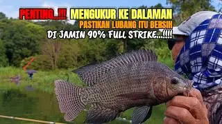 trik dan Cara Mancing nila lubang menggunakan UMPAN lumut