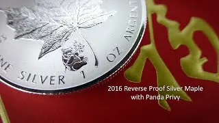 Silver Panda reverse proof