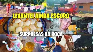 LEVANTEI AINDA ESCURO PARA DAR CONTA DE TUDO/ SURPRESAS DA ROÇA 🐍vlog
