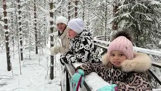 Парк дикий 08.01.26