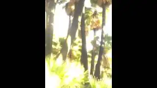A real desert oasis with no one around!