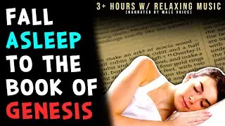 Bible Reading for Sleep | Book of Genesis Read by Slow Male Voice