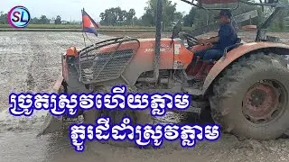 ច្រូតស្រូវហើយភ្លាម ភ្ជួរដីដាំស្រូវភ្លាម