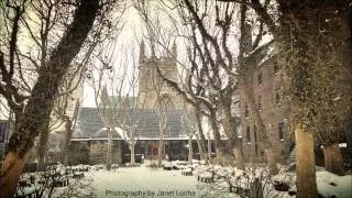 Snowfall (Photography by Janet Lucha)