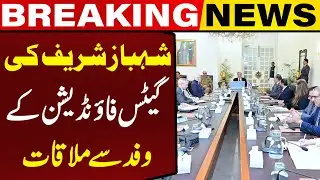 PM Shehbaz Sharif Meets Gates Foundation Delegation: Polio-Free Pakistan Mission