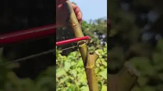 One Cut Skill #shorts