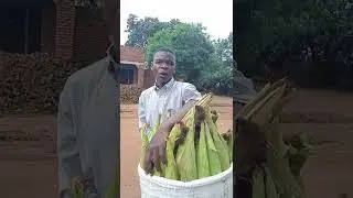 our second CHITIMBE
