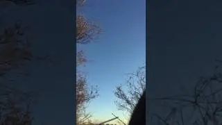 North Texas Goose Hunting at its best! 2017