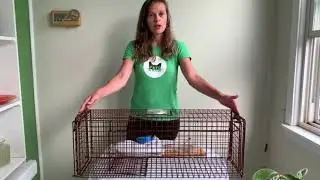 How to set a 30LTD TruCatch Feral Cat Trap