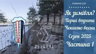 ❄️ Як проходить зимівля? 📉 Перші втрати 🐝🐝 Підгодівля канді 🍯🍯 Сезон 2025. BeeReaL. Частина 1