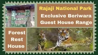Rajaji National Park | Rajaji Tiger Reserve | Beriwara Forest Rest House | Ranipur range | Tigers