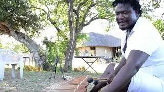 Mbila