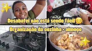 Desabafo 😮‍💨 não está sendo fácil || organização da cozinha + almoço✨️
