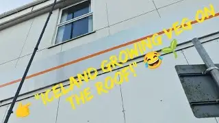 🧹 Commercial Gutter Cleaning &ndash; Iceland Llangefni (Anglesey)Today we tackled a heavily blocked gutter