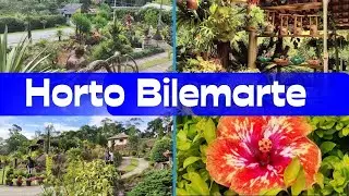 encontrei raridades no Horto Bilemarte - lugar incrível e diferenciado