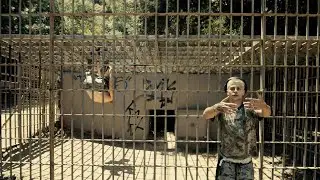 Inthemorning - SEAWORLD IS SICK (Official Music Video)
