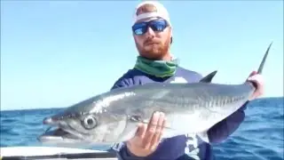 2016 Wild West Kingfish Tournament Series Promo