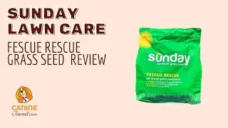 Sunday Fescue Rescue Review