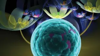 The Origin of Life - The First Cell