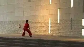 RJWushu Open House 2006 vid