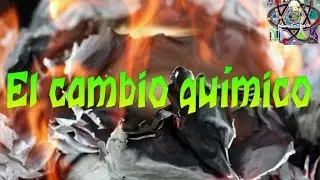 El cambio qu&iacute;mico/SCIENTIFIC PLAY JR