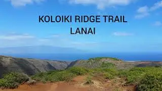 Koloiki Ridge Trail for amazing views hiking in Lanai Hawaii