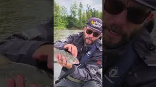 N&auml;in tunnistat toutaimen