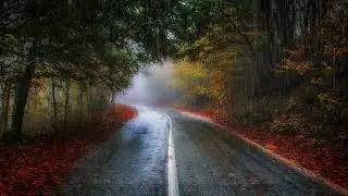 Peter Friestedt  - Closer to home