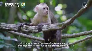 Turismo no regulado en las áreas protegidas de Colombia