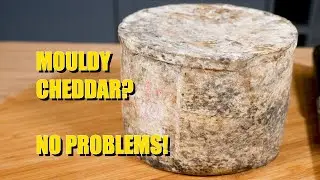 Mold on my Cloth Banded Cheddar?
