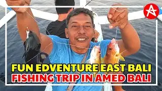 GREAT TRIP || FISHING TRIP IN AMED BALI