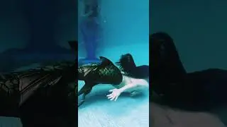 A Mermaid Swims Past #mermaid #mermaidpool #swim #underwater #mermaiding